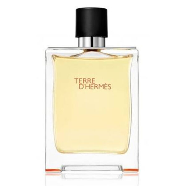 Terre D’Hermes Eau De Toilette Spray 50ml