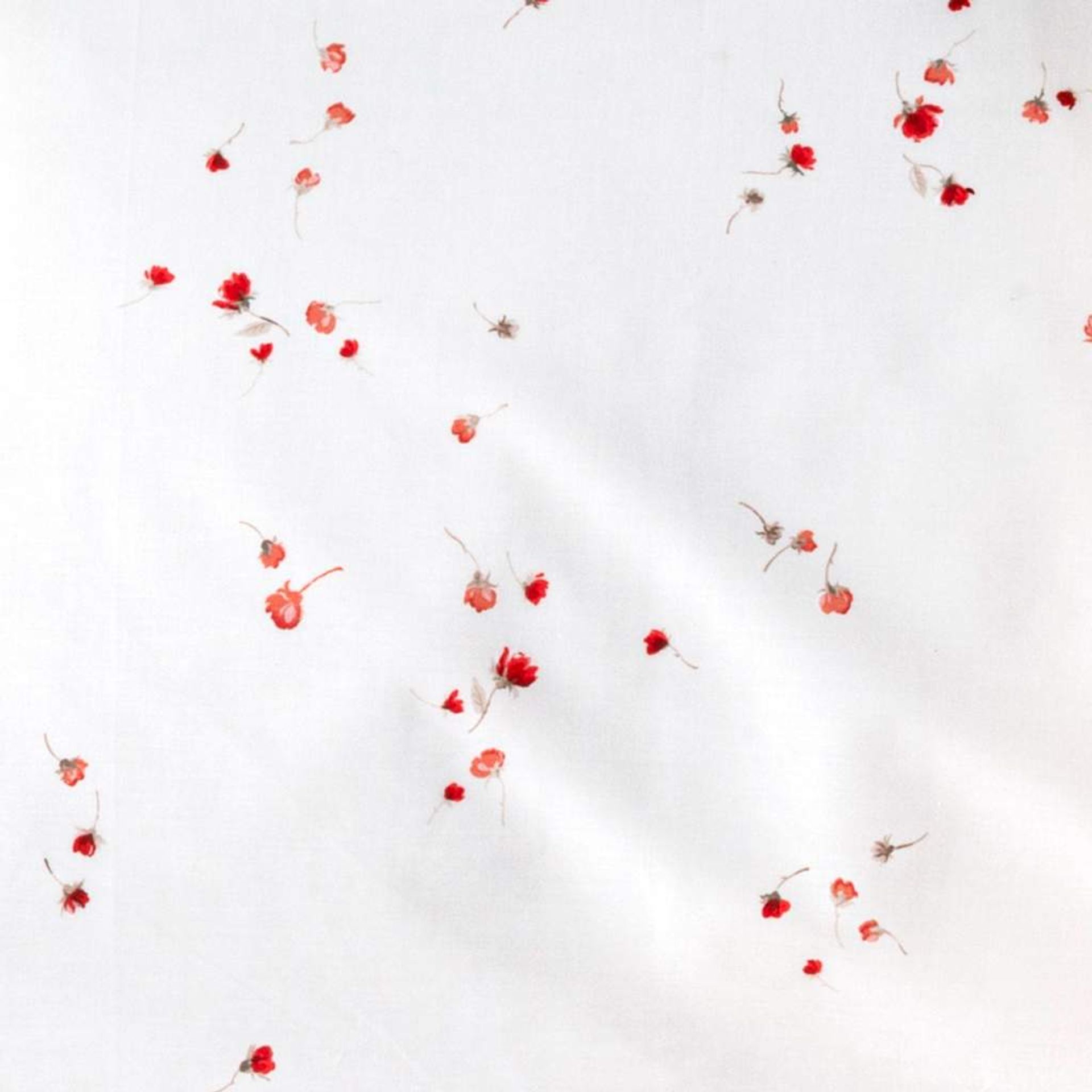 93a970f0-b3c1-11ef-a65e-ff1eb0333082.jpg