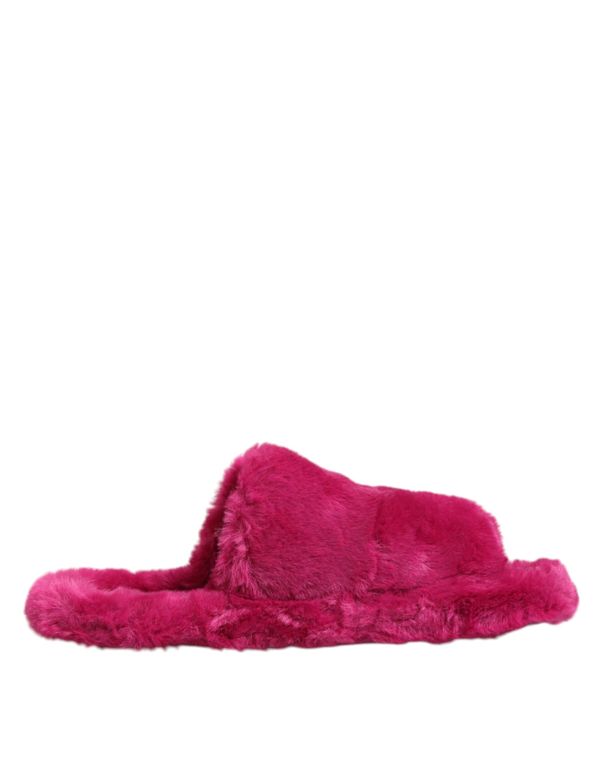 8376013.jpeg