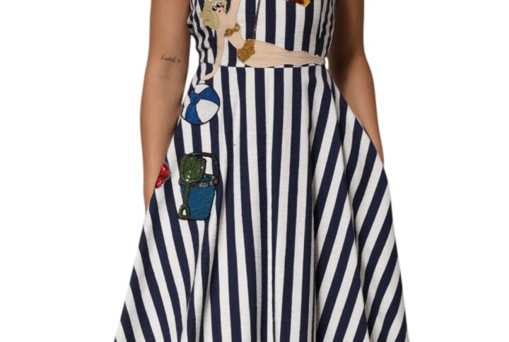 Blue White Striped Embroidered A-line Dress